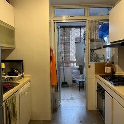 Tanglin Park (D10), Condominium #557817341